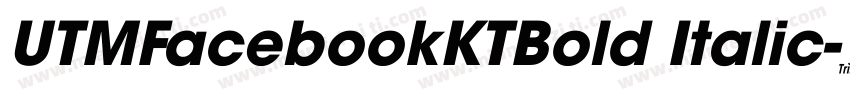 UTMFacebookKTBold Italic字体转换